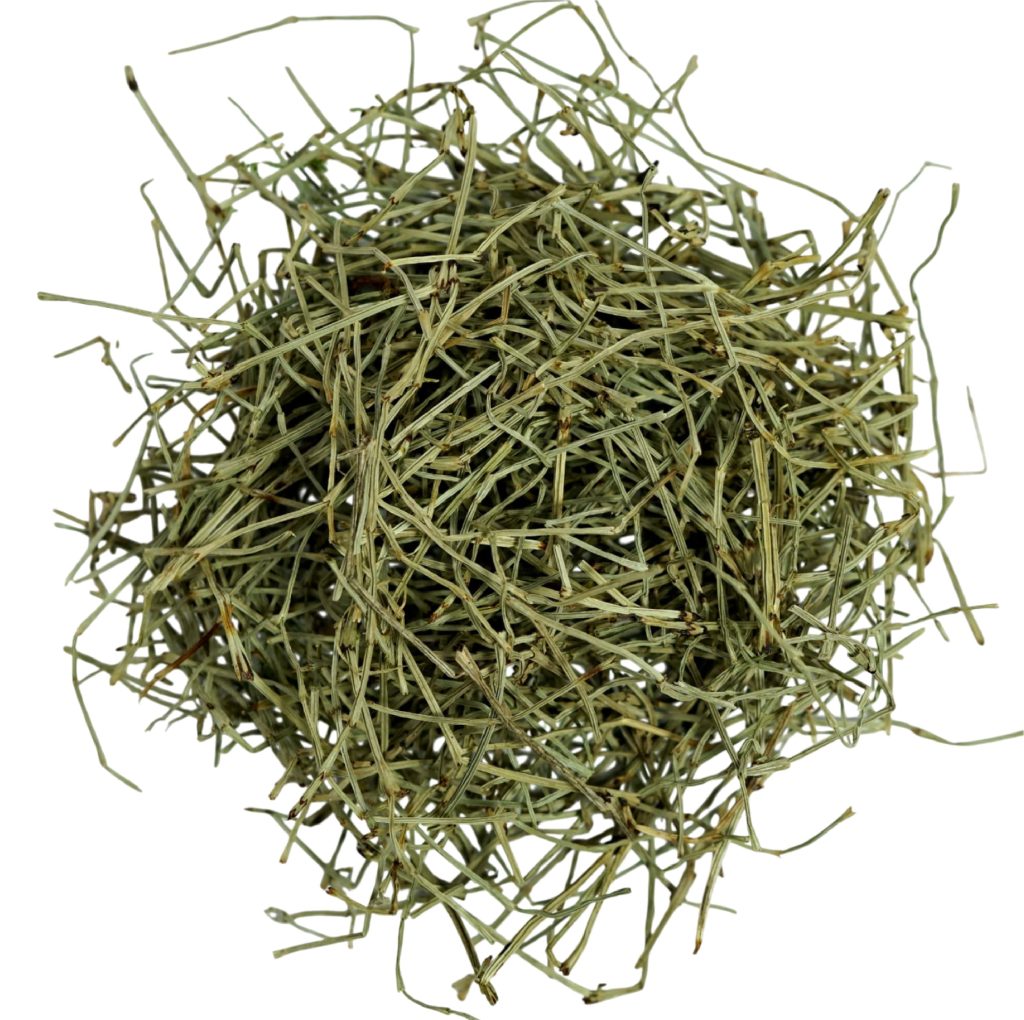 Hierba cola de caballo