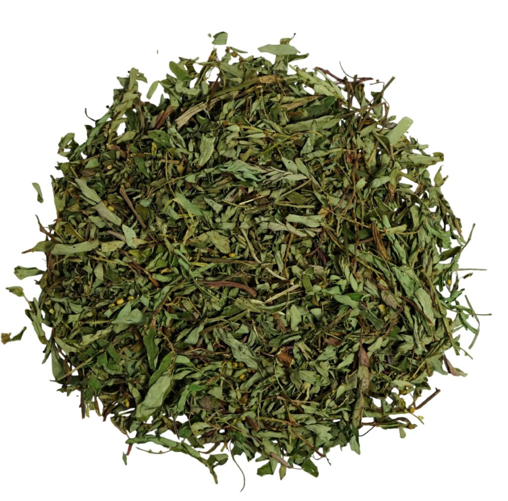 Hierba chanca piedra seca