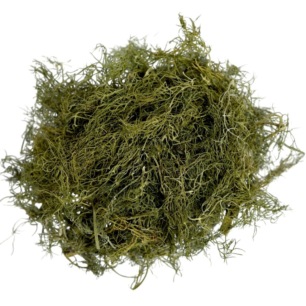 Hinojo seco a granel