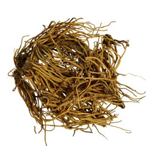 Raiz de Valeriana ecológica deshidratada