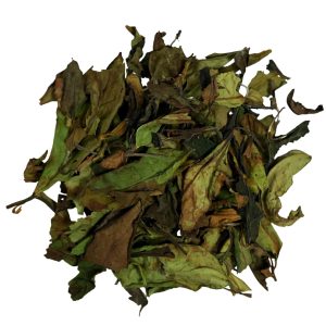 Té blanco (hojas)